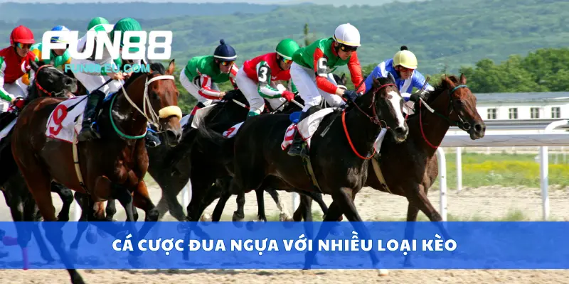 Cá cược đua ngựa với nhiều loại kèo