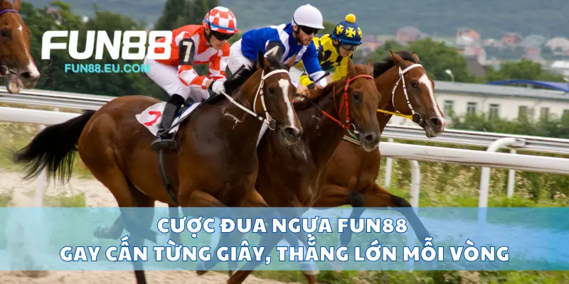 Cược Đua Ngựa Fun88 Gay Cấn Từng Giây, Thắng Lớn Mỗi Vòng