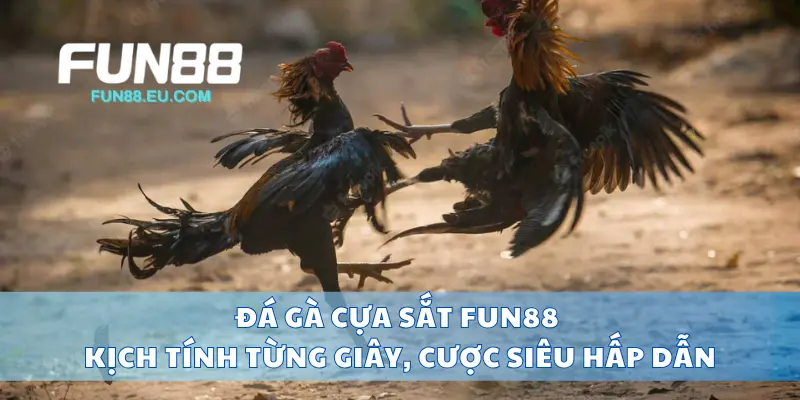 Đá Gà Cựa Sắt Fun88 Kịch Tính Từng Giây, Cược Siêu Hấp Dẫn