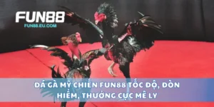Đá Gà Mỹ Chiến Fun88 Tốc Độ, Đòn Hiểm, Thưởng Cực Mê Ly